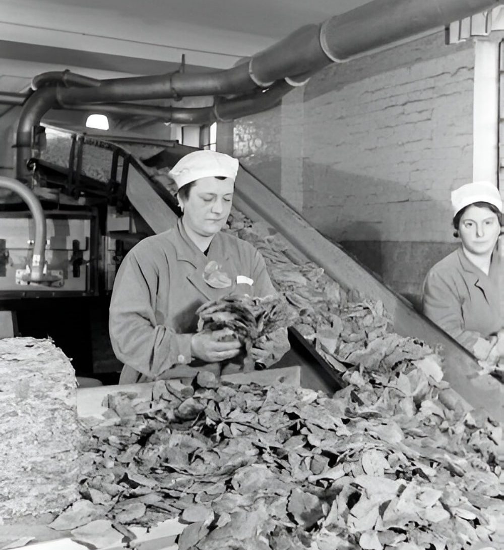 The Native Cigarettes are Made