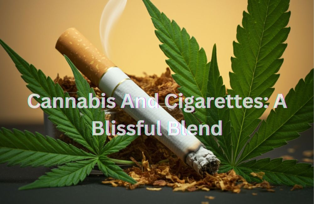 Cannabis And Cigarettes