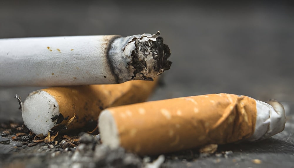 Environmental Impact