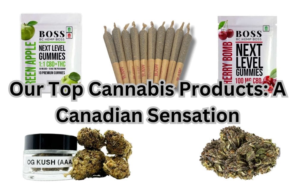 Our Top Cannabis Products