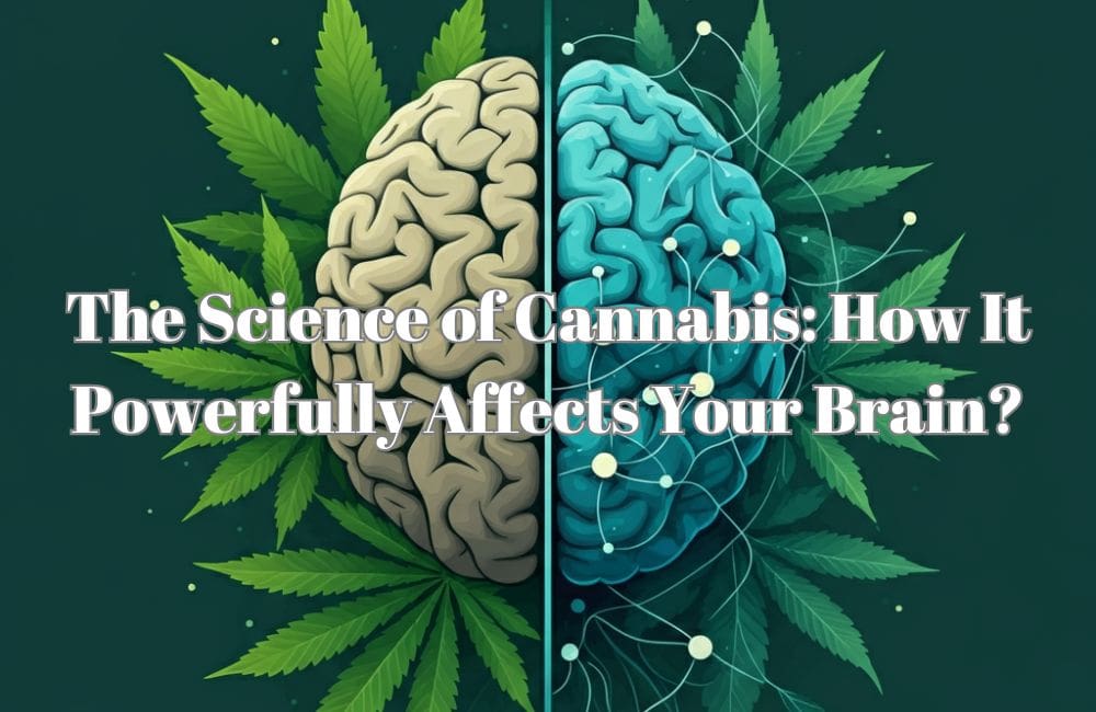 Science of Cannabis