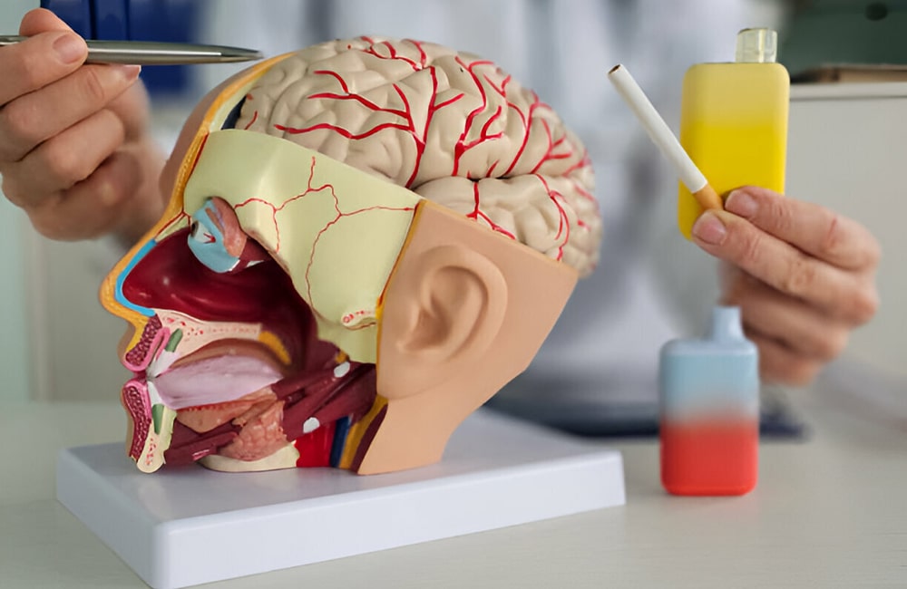 Are Vapes Truly Safe