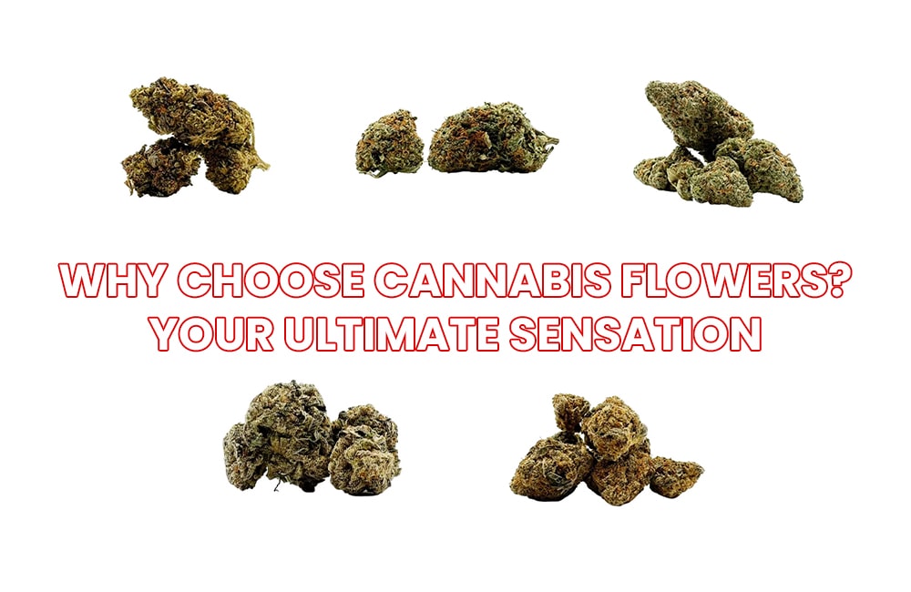 Cannabis Flowers