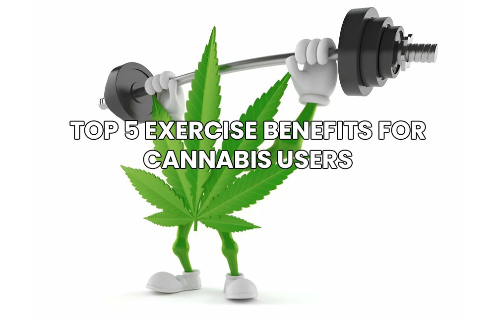 Exercise Benefits for Cannabis Users