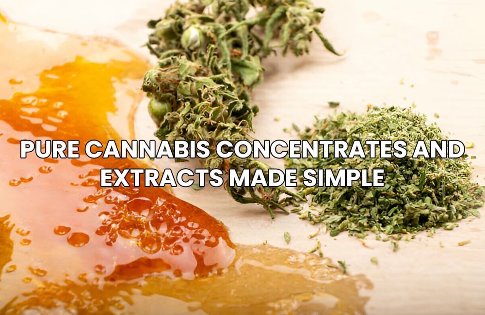 Cannabis Concentrates and Extracts
