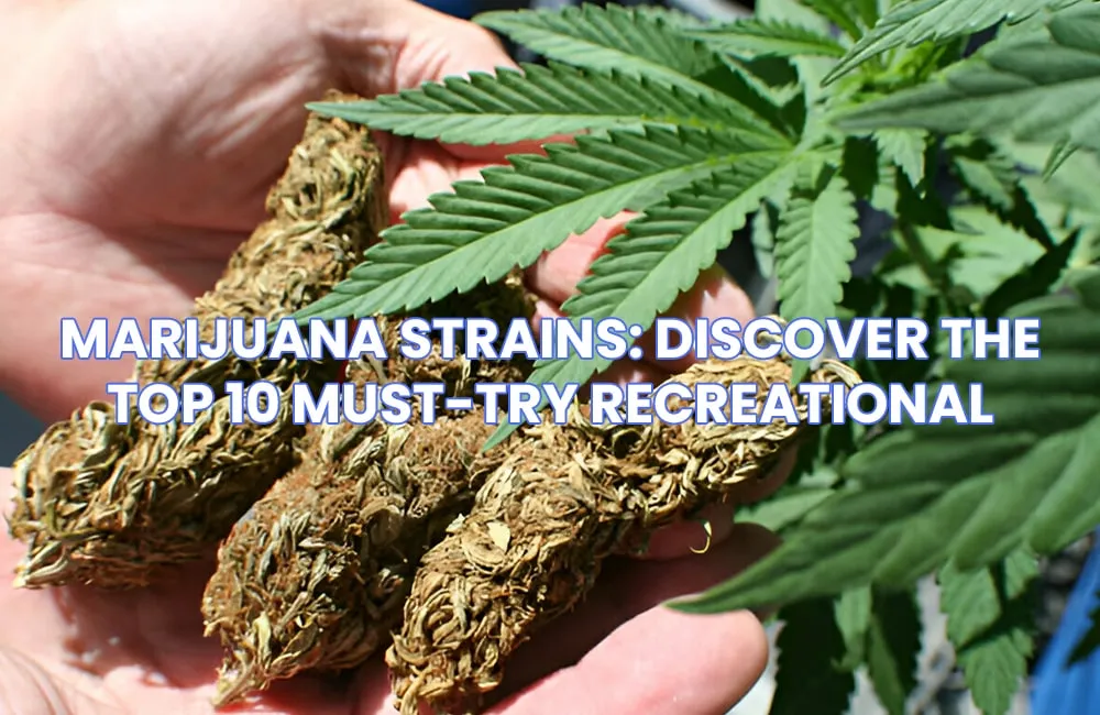 Marijuana Strains